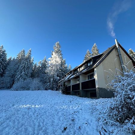 Waldhotel Zoebischhaus Bad Reiboldsgrün Εξωτερικό φωτογραφία