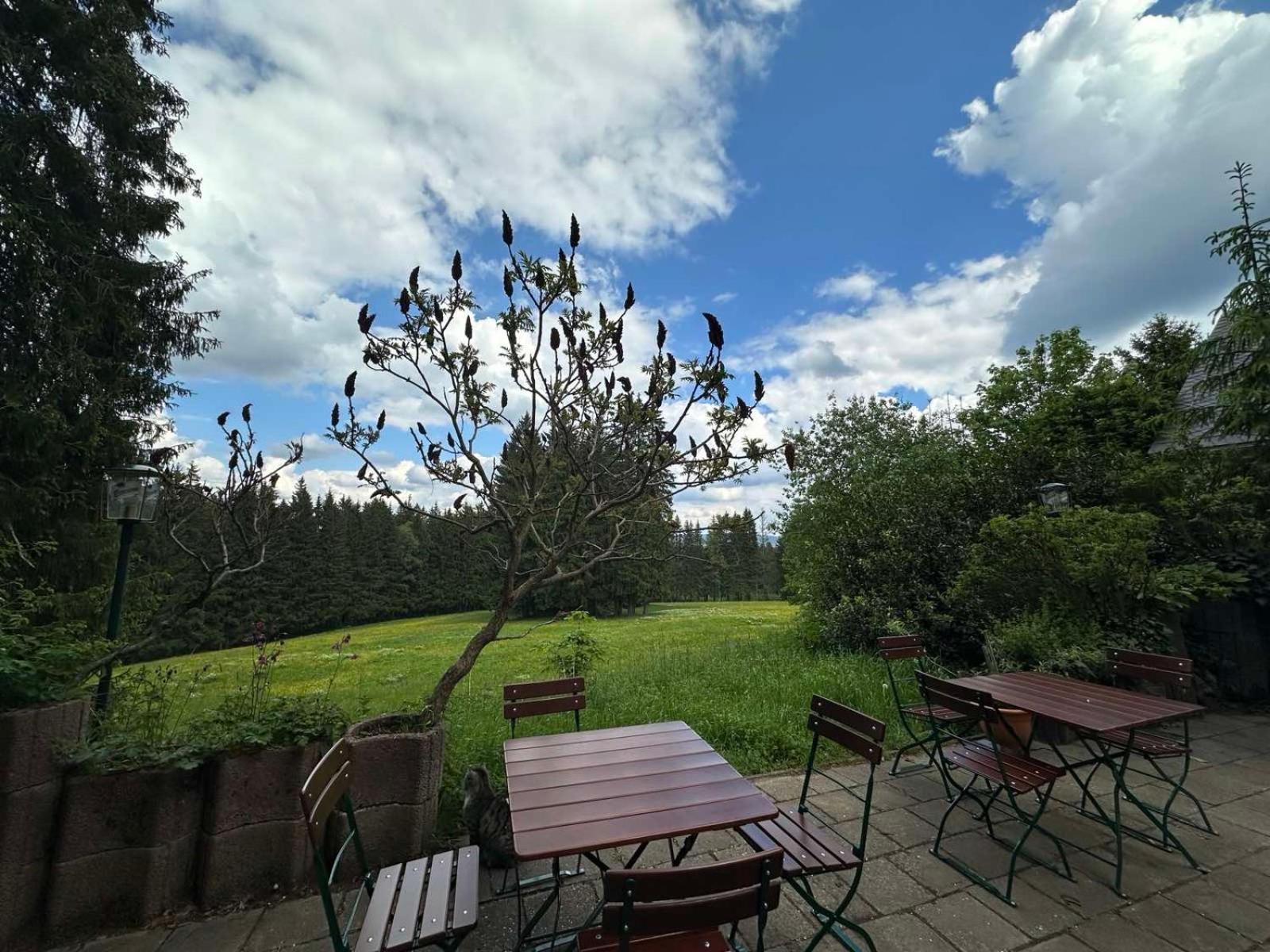 Waldhotel Zoebischhaus Bad Reiboldsgrün Εξωτερικό φωτογραφία